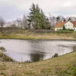 Regnvandsbassin ved E20 Fynske Motorvej. Foto- Vejdirektoratet.